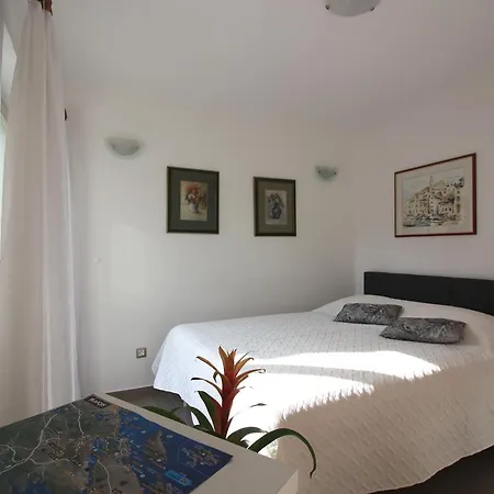 Aurora Apartment